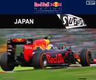 Max Verstappen, 2016 Japonya Grand Prix